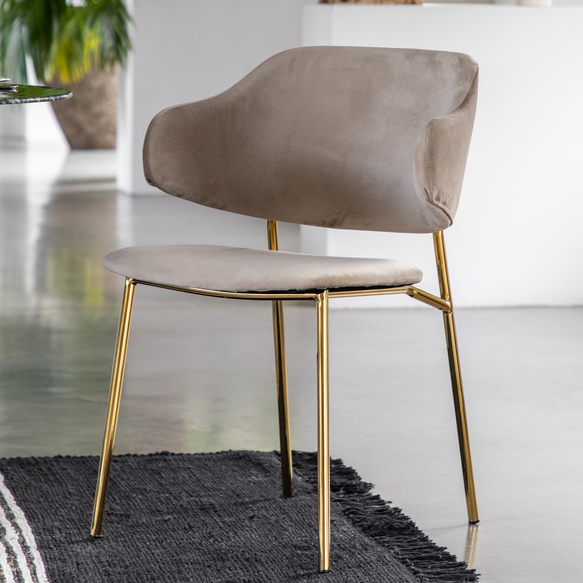 Mayfield Worrall Taupe Dining Chair Gold Legs (Discontinued )